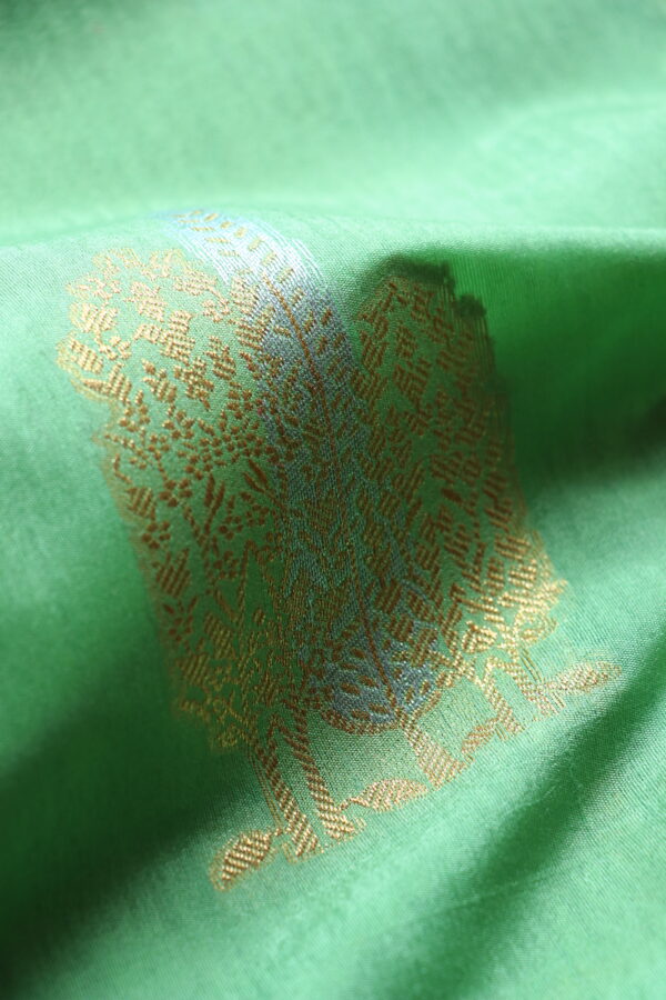 Lite green dupion silk saree with contrast peacok border - Image 3